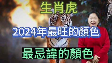 生肖虎幸運色|【屬虎顏色】屬虎人必看！2024年開運指南：揭秘幸。